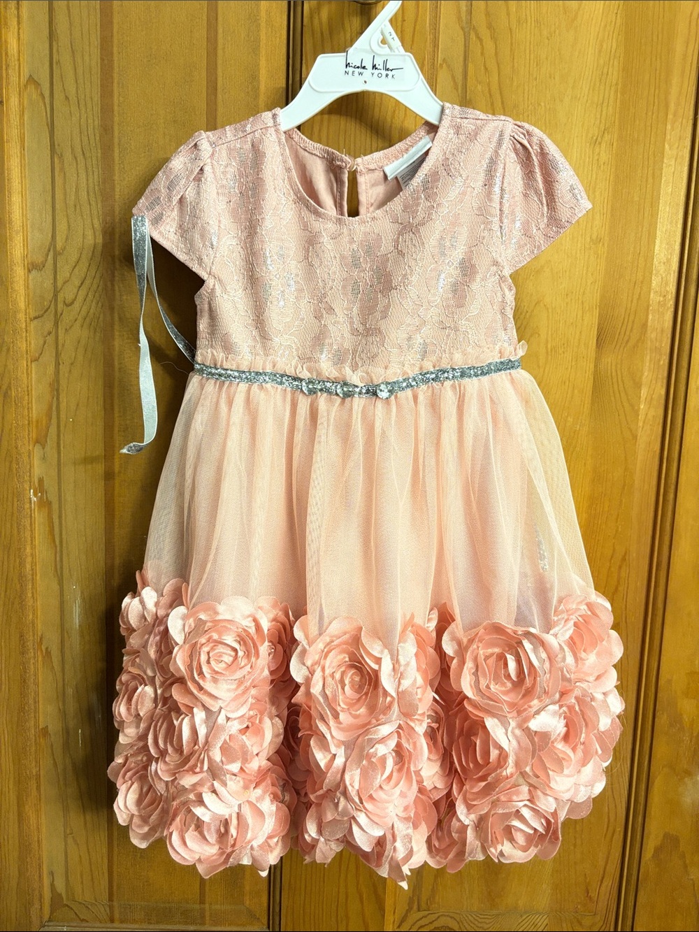Little Lass Pink Floral Appliqué Tulle Party Dress